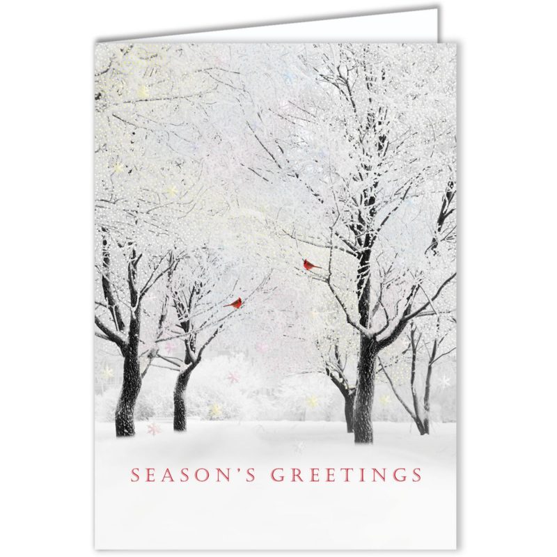 White-Forest-Holiday-Card-DG1768 Custom White Forest Holiday Card
