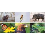Custom Wildlife Wall Calendar Spiral - 3