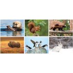 Custom Wildlife Wall Calendar Spiral - 4