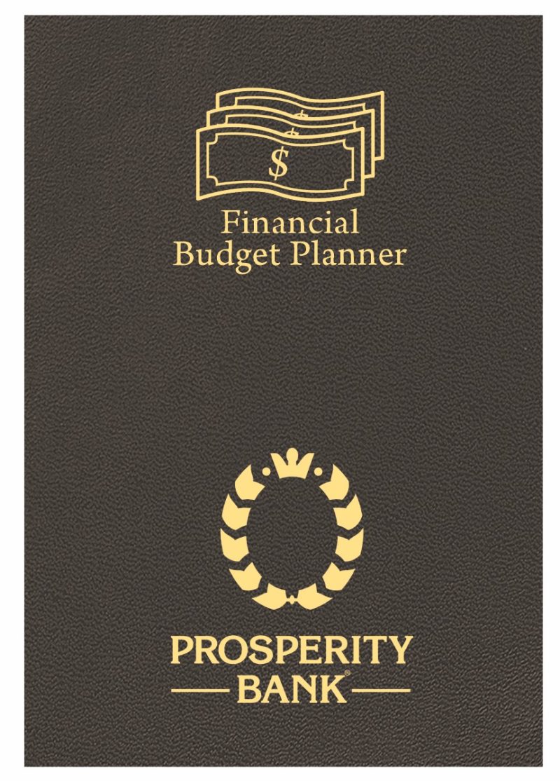 Custom Financial Budget Planner/ Leatherette Cover