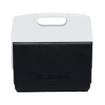 Custom Igloo Playmate Elite ® 16-quart Cooler - 2