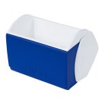 Custom Igloo Playmate Elite ® 16-quart Cooler - 9