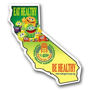 Custom California State Magnet