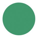 Custom Junior Round Token - 4