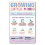 Custom Rectangle Magnet 5 x 8