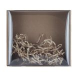 Custom 6" x 7" Cardboard Box with Clear Lid - 2