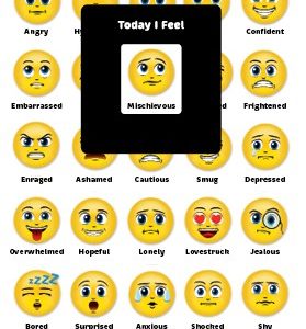 Custom Good Value™ MOOD METERS® Mood Magnet