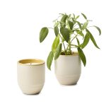 Custom Modern Sprout® Garden Vibes Candle/Planter - Golden Moments-Sage - 1