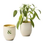 Custom Modern Sprout® Garden Vibes Candle/Planter - Golden Moments-Sage