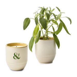 Custom Modern Sprout® Garden Vibes Candle/Planter - Golden Moments-Sage