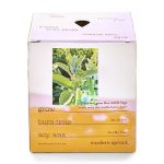 Custom Modern Sprout® Garden Vibes Candle/Planter - Golden Moments-Sage - 5