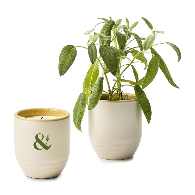 Custom Modern Sprout® Garden Vibes Candle/Planter - Golden Moments-Sage