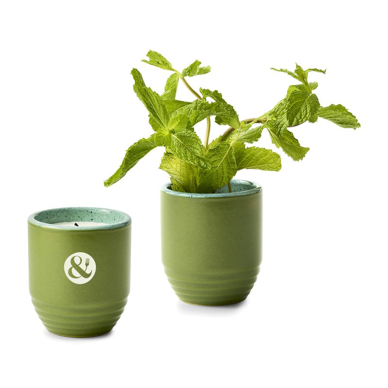 Custom Modern Sprout® Garden Vibes Candle/Planter - In The Weeds-Mint