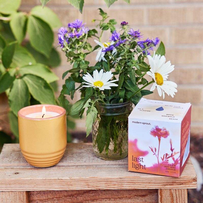 Custom Modern Sprout® Garden Vibes Candle/Planter - Last Light-Marigold - 9