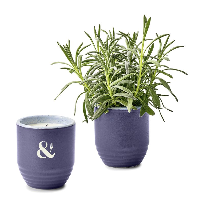 Custom Modern Sprout® Garden Vibes Candle/Planter - Violet Hour-Lavender