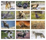 Custom Triumph® Calendars Press-N-Stick Sportsmen Calendar - 1