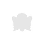 Custom Acrylic Golf Ball Marker - Custom Shape - 1