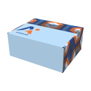 Custom 10x8 Full Color Mailer Box
