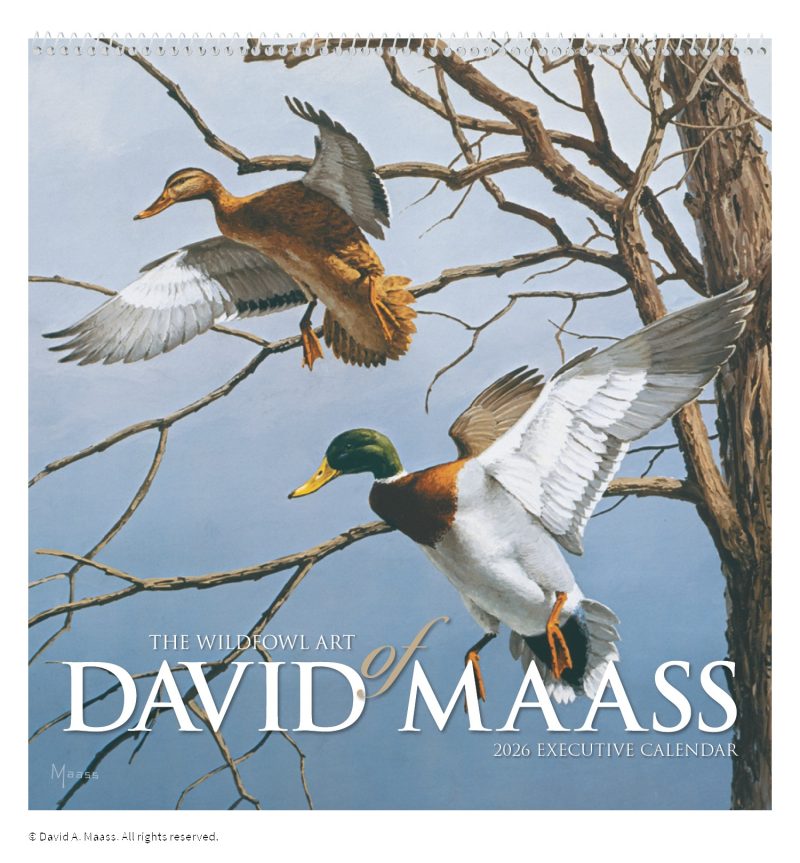 Custom HotLine® Products David Maass Executive Calendar - 1
