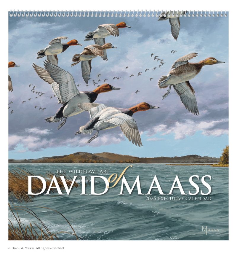 Custom HotLine® Products David Maass Executive Calendar - 5