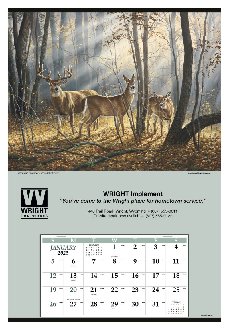 Custom Triumph® Calendars Jumbo Hanger (12-Month) Calendar - 8