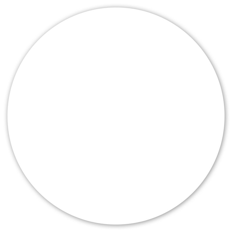 Custom Car Sign Circle Magnet 4 1/2" diam - 1