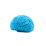 Custom Pencil-Top Eraser Brain - 1