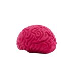Custom Pencil-Top Eraser Brain - 2