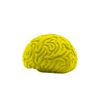 Custom Pencil-Top Eraser Brain - 3