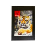 Custom 3' X 5' Superscrape™ Impressions Indoor & Outdoor Floor Mat - 1