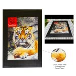 Custom 3' X 5' Superscrape™ Impressions Indoor & Outdoor Floor Mat