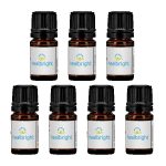 Custom Essential Oil in 5 ml Mini Dropper Bottle