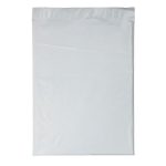 Custom 12W x 15½H Plastic Mailer - Dynamic Color - 1