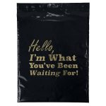 Custom 15W x 18H Plastic Mailer - Flexo Ink Print - 3