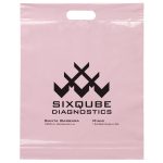 Custom 15W x 19H x 3 Die Cut Handle Bag - Flexo Ink Print