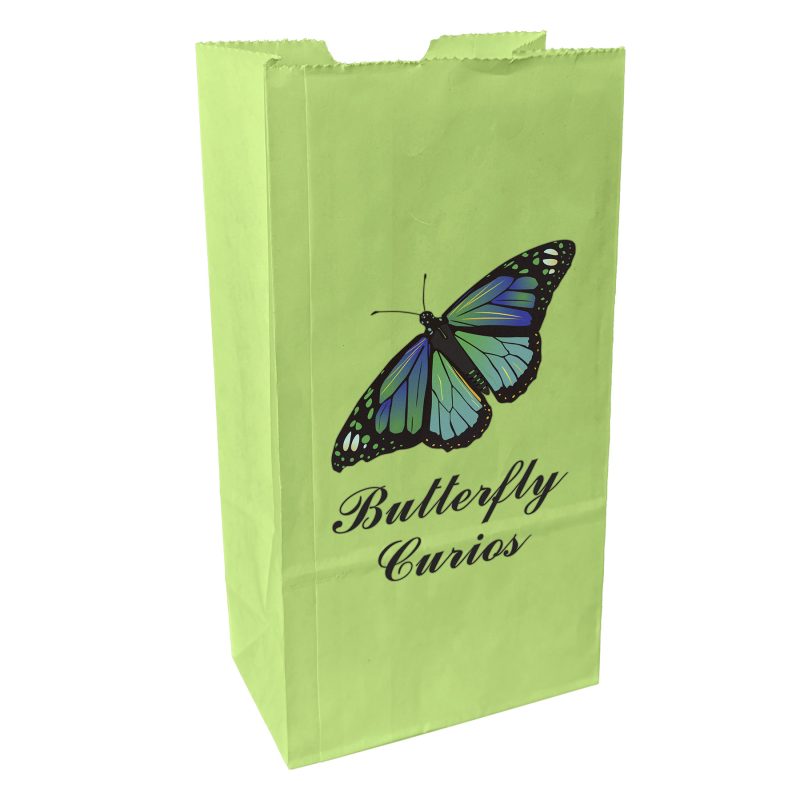 Custom 2# Popcorn Bag - ColorVista - 2
