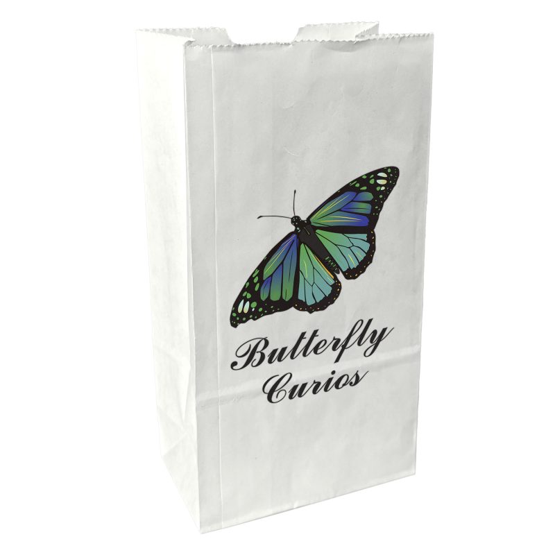 Custom 2# Popcorn Bag - ColorVista - 4
