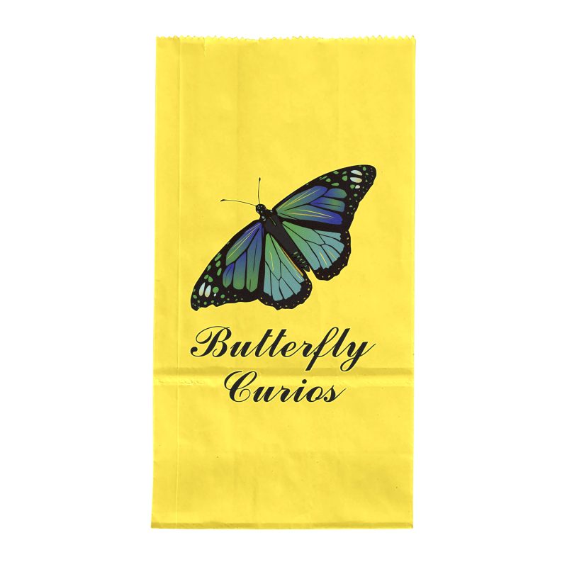 Custom 2# Popcorn Bag - ColorVista - 6