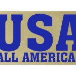 Custom 6" Badge Satin Ribbon - 100yrd Roll - Brilliance - Matte Finish - 5
