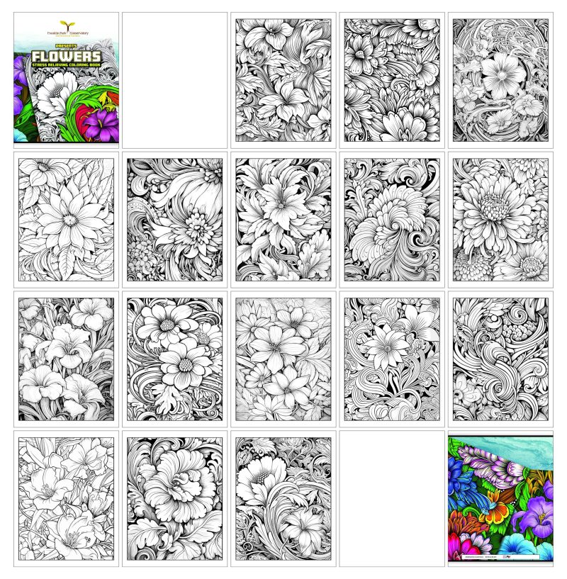 Custom Adult Coloring Books - 2