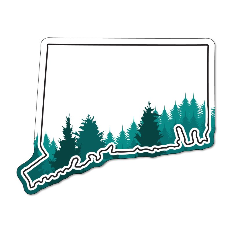 Custom Connecticut NoteKeeper™ Magnet 35 Mil - 4