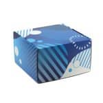 Custom Corrugated Box - 8" x 8" x 5"