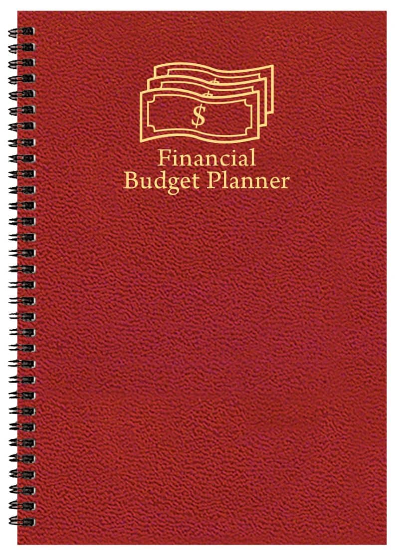 Custom Financial Budget Planner