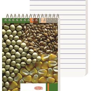 Custom Full Color Econo Pocket Coil Notebook (2 7/8"x 4 ¾")