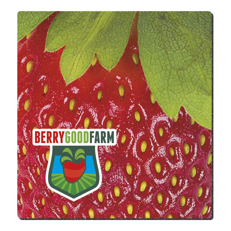 Custom Good Value™ 1/16" Fabric Surface Mouse Pad (7-1/2" x 8")