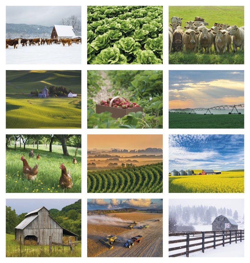 Custom Good Value™ Agriculture - Spiral Calendar - 4