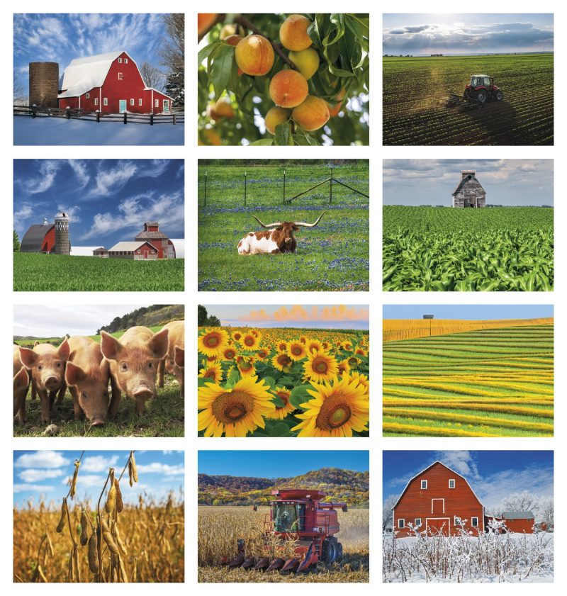 Custom Good Value™ Agriculture - Spiral Calendar - 7
