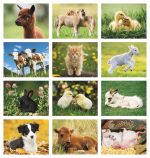 Custom Good Value™ Baby Farm Animals - Stapled Calendar - 7