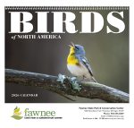 Custom Good Value™ Birds of North America - Spiral Calendar - 2