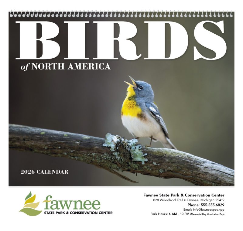 Custom Good Value™ Birds of North America - Spiral Calendar - 2